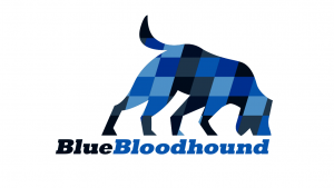 Blue Bloodhound jobs